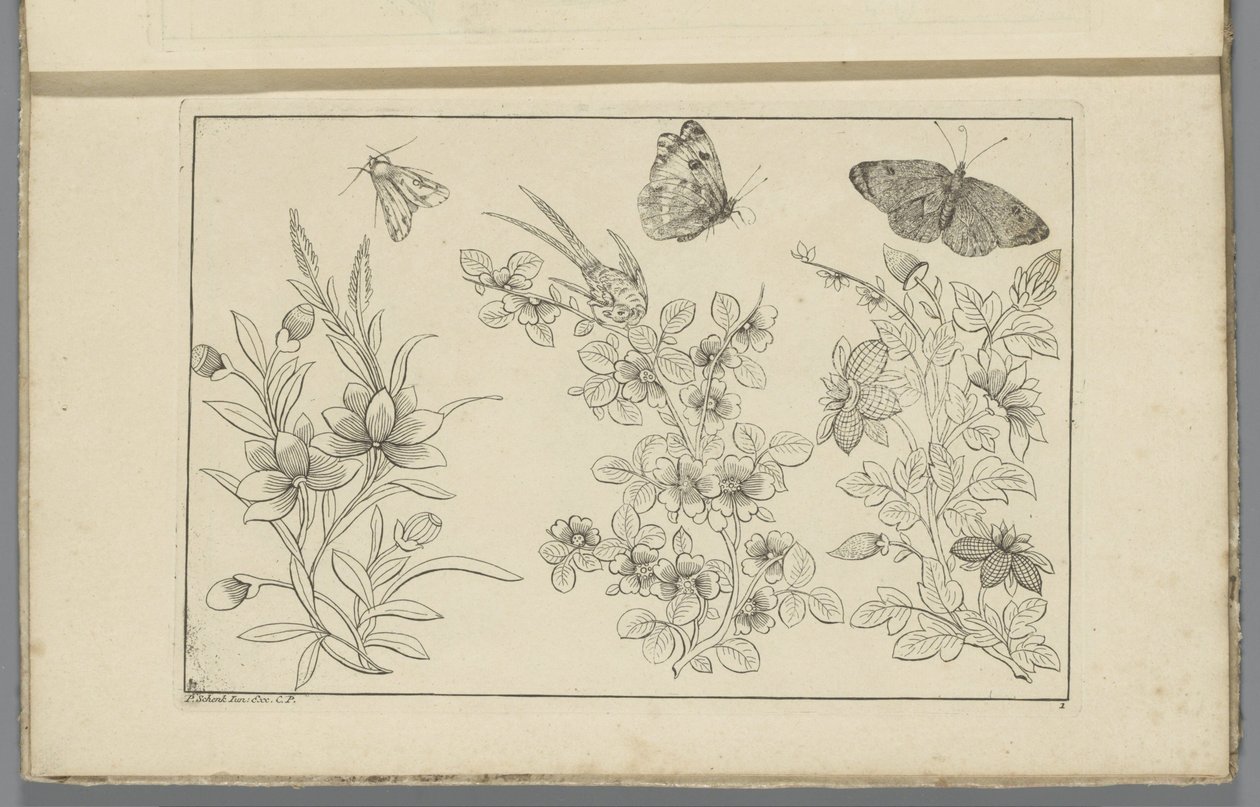Üç çiçek dalı ve üç kelebek Çin çiçekleri ve böcekleri (dizi başlığı) by Pieter Schenk (II)