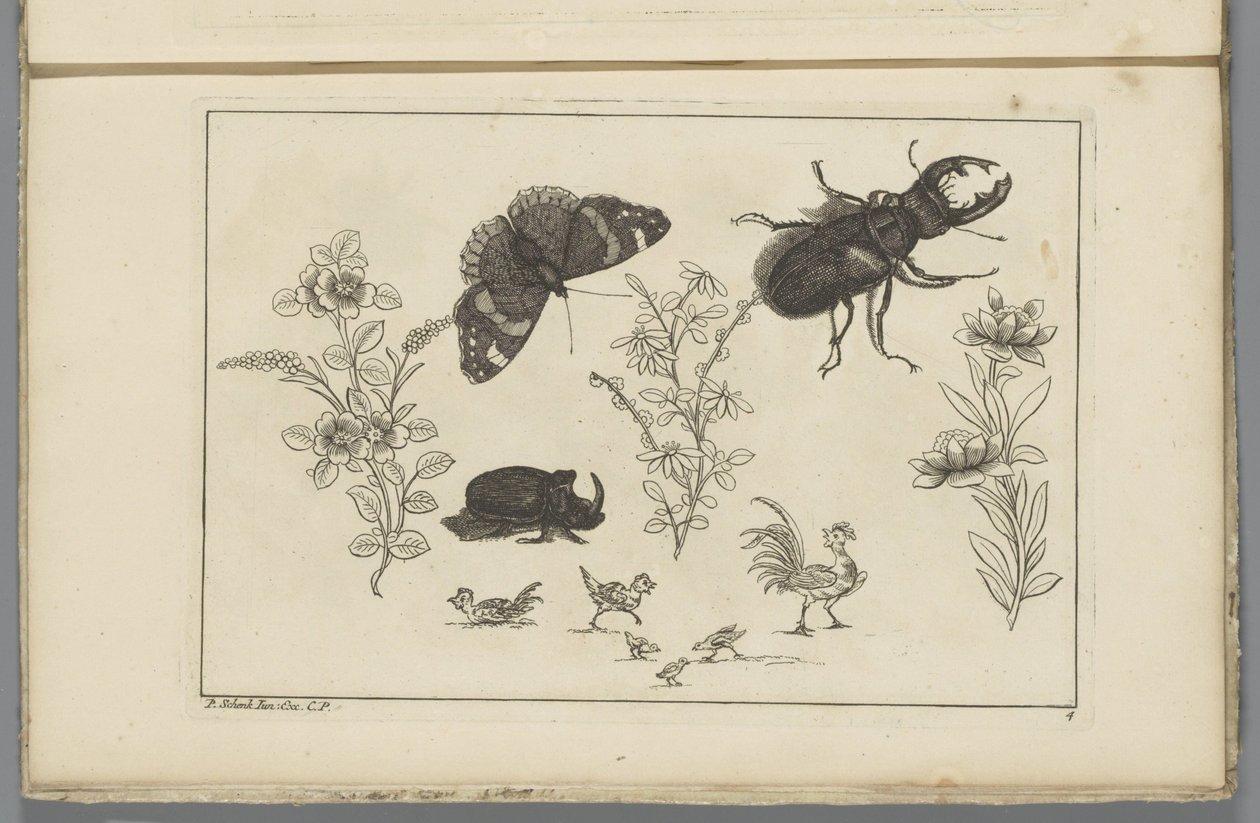 Gergedan böceği, kelebek ve böceği ile üç çiçek dalı Çin çiçekleri ve böcekleri (seri başlığı) by Pieter Schenk (II)