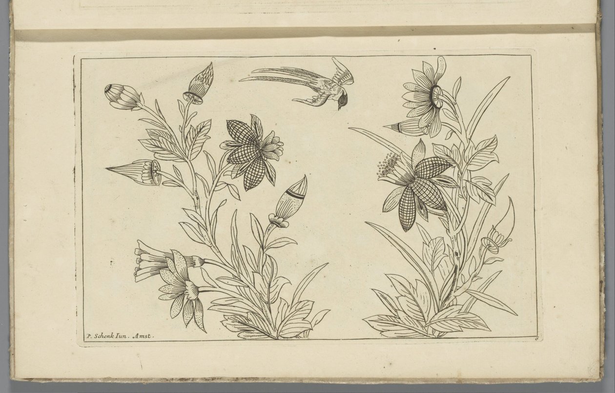 İki çiçek çalı ve bir kırlangıç Çin çiçekleri ve kuşları (dizi adı) by Pieter Schenk (II)
