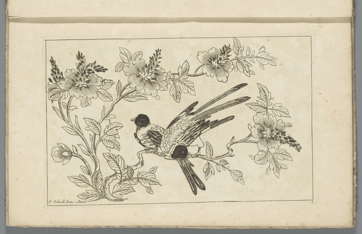 Bir çiçek dalında iki kuş Çin çiçekleri ve kuşları (dizi adı) by Pieter Schenk (II)