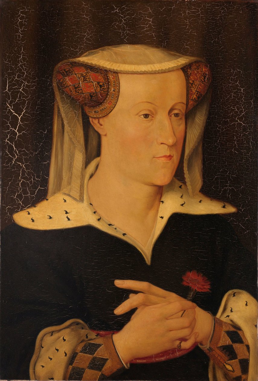 Bavyera Jacoba (1401-1436), Hollanda ve Zelanda Kontesi by Pieter Willem Sebes