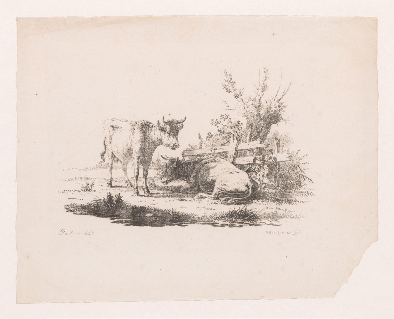 Bir çitin yanında iki inek ve bir pollard söğüt by Pieter de Goeje