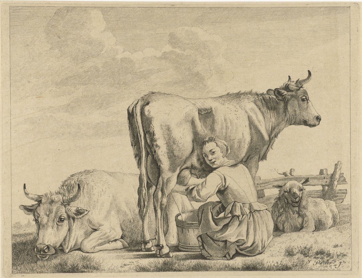 sütçü by Pieter de Mare