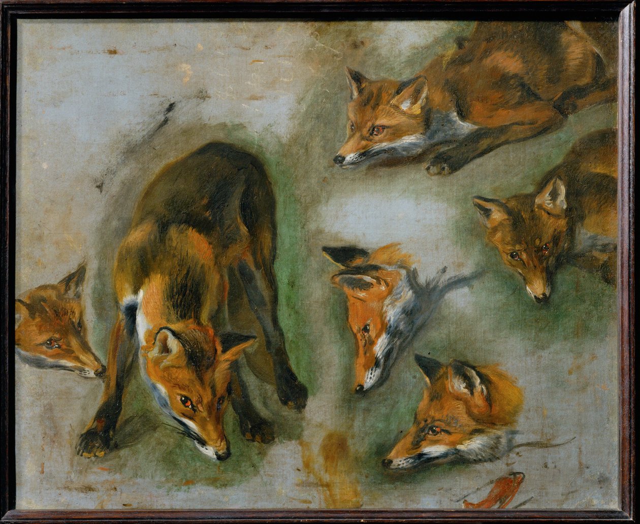  by Pieter or Peter Boel