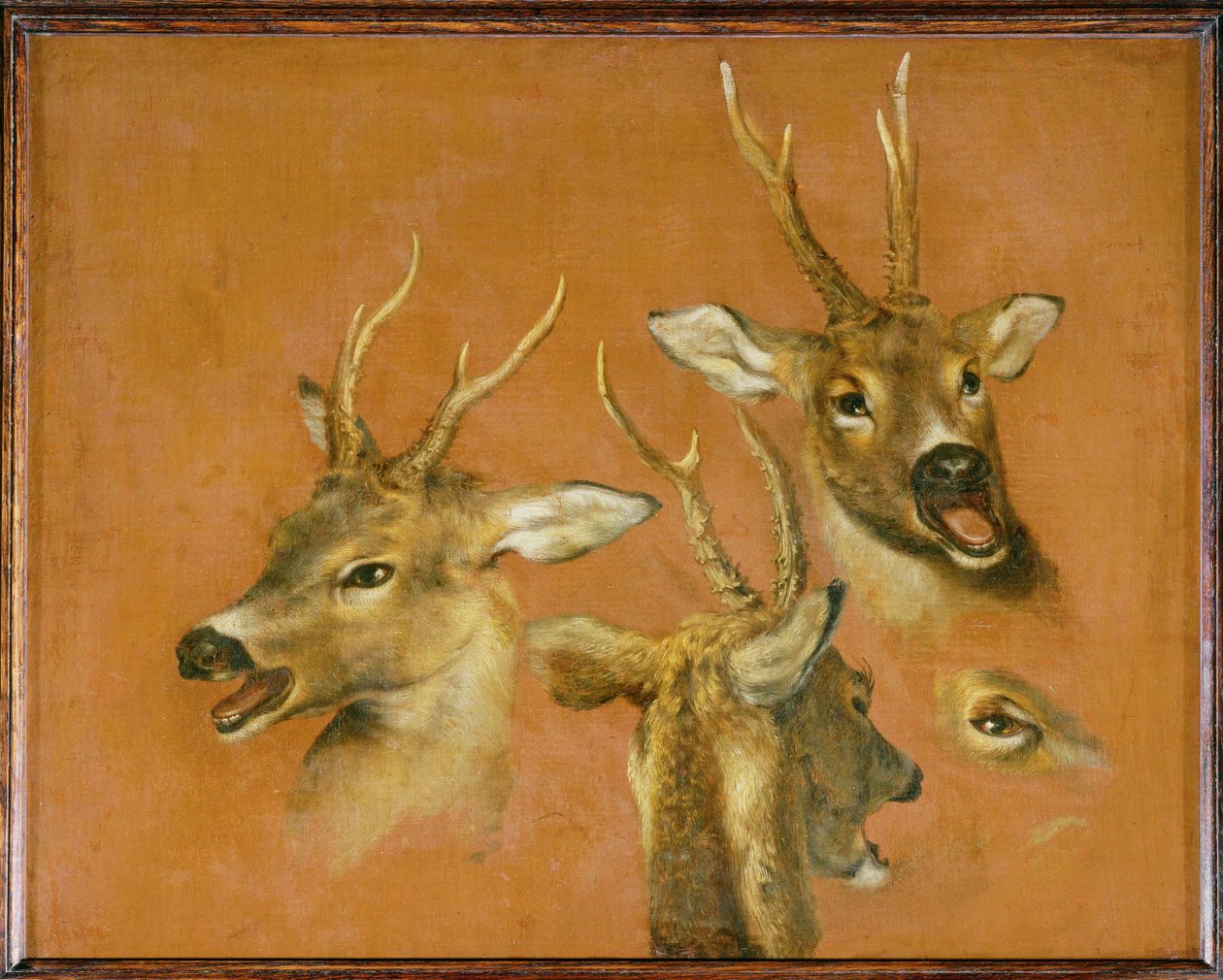  by Pieter or Peter Boel