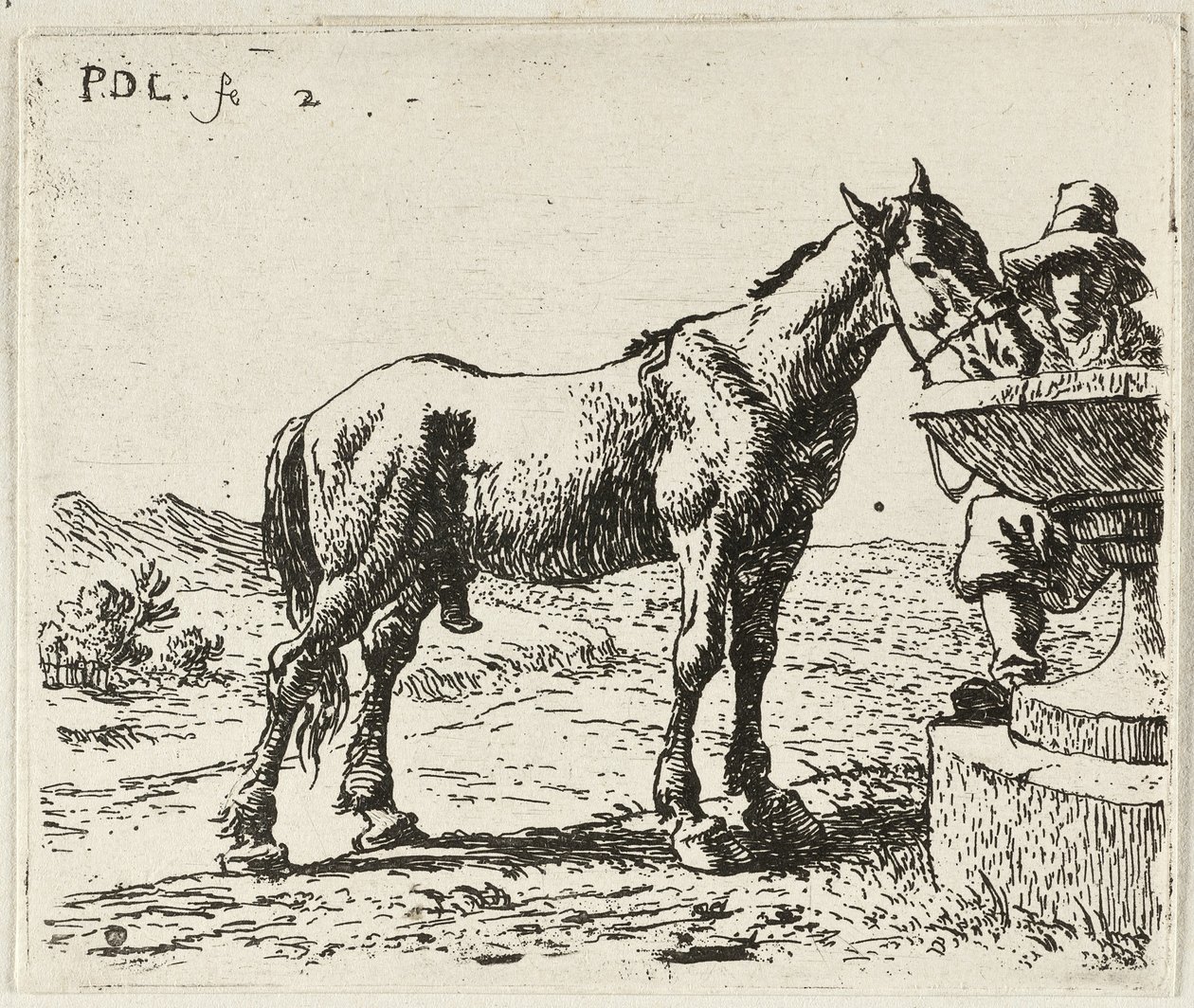  by Pieter van Laer