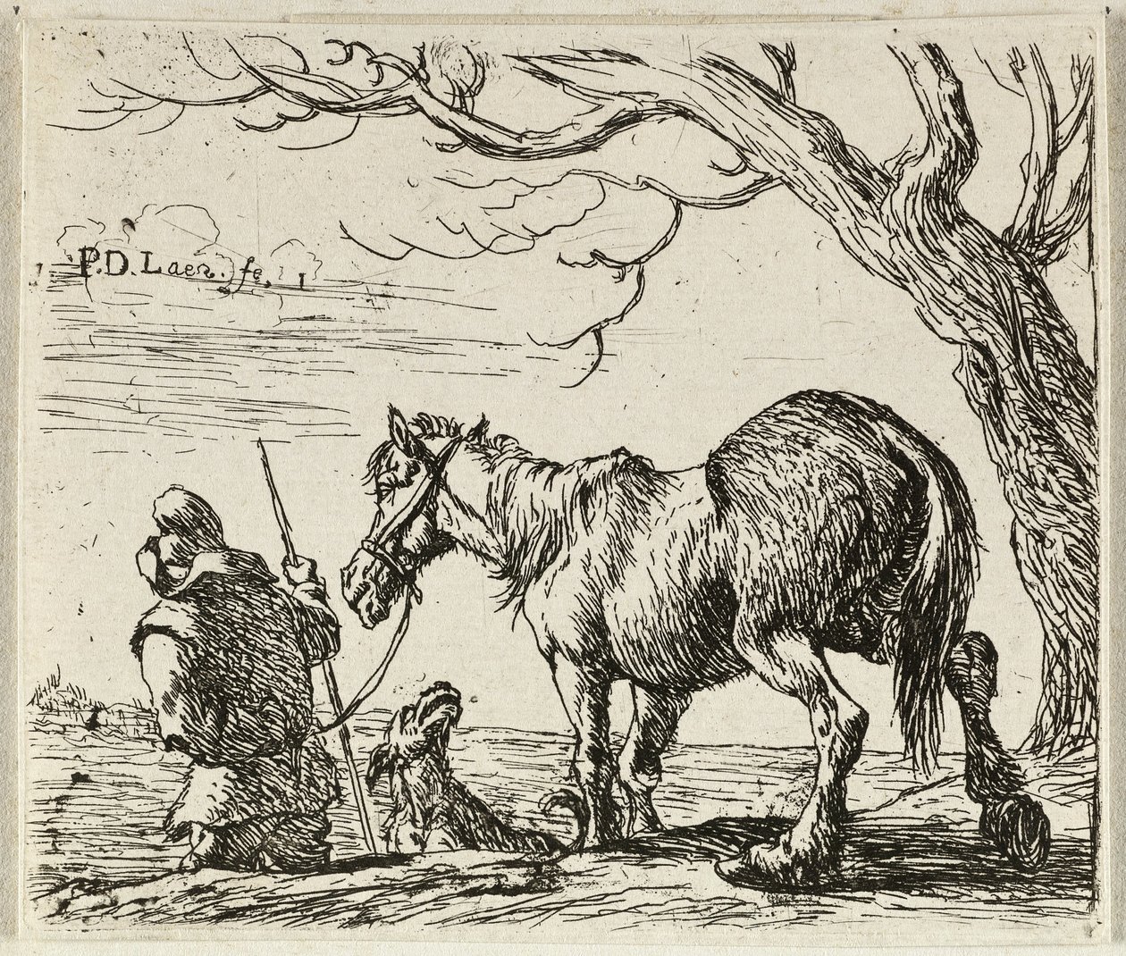  by Pieter van Laer