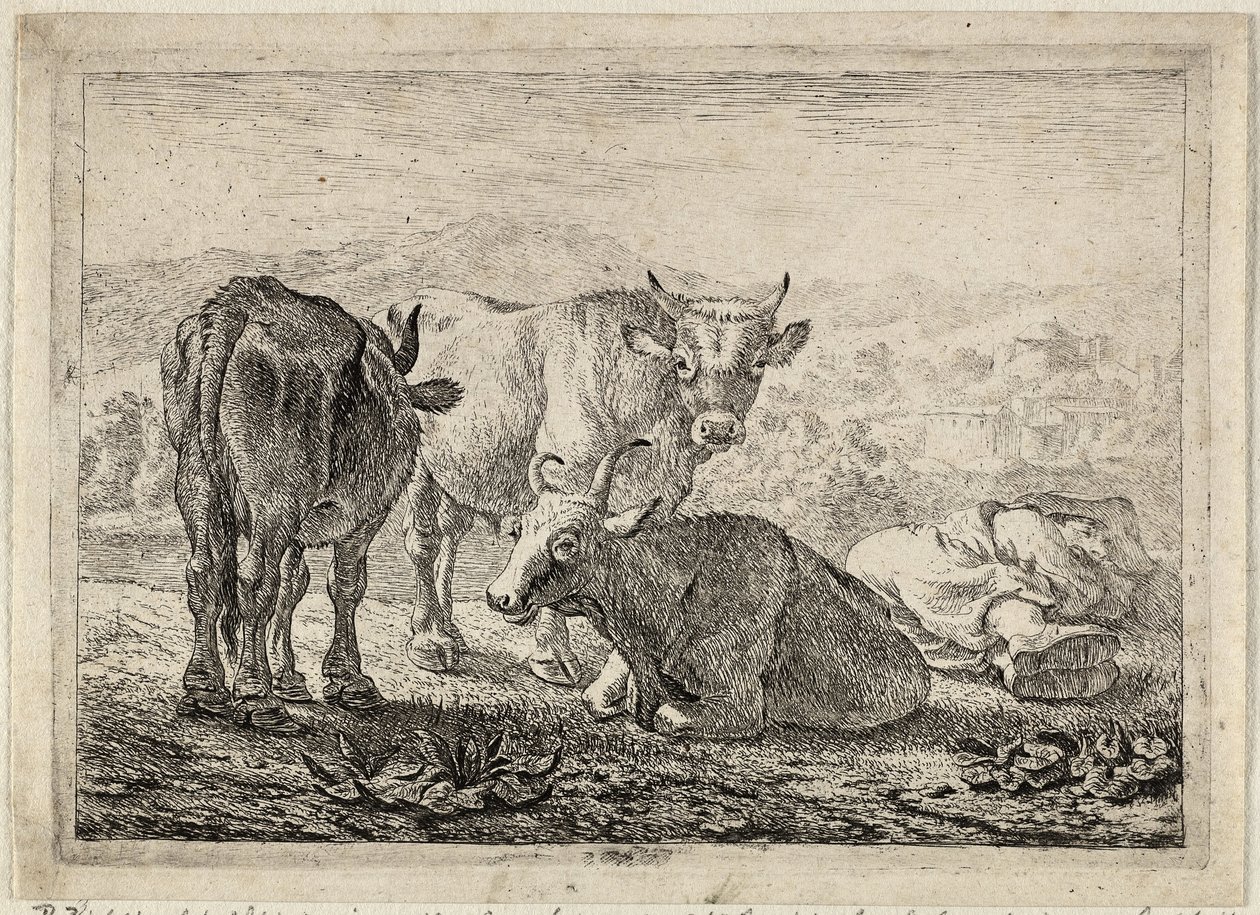  by Pieter van Laer