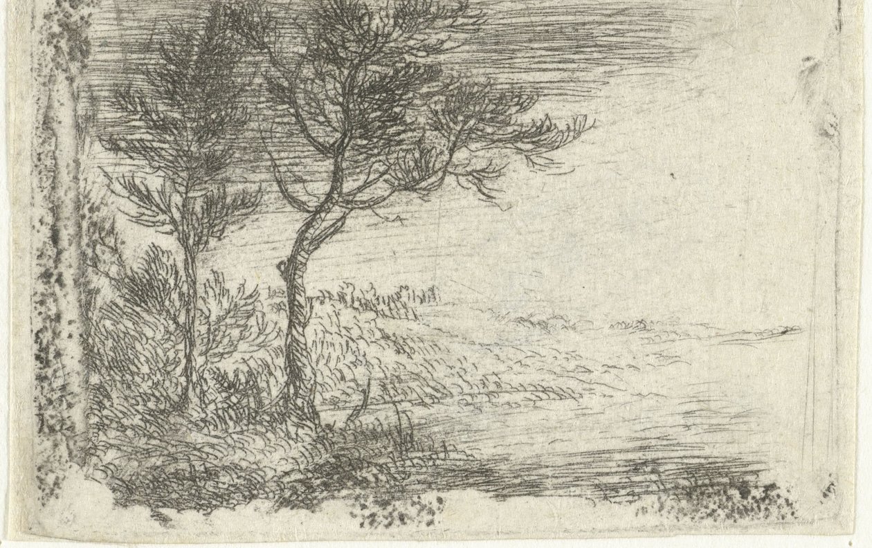 by Pieter van Laer