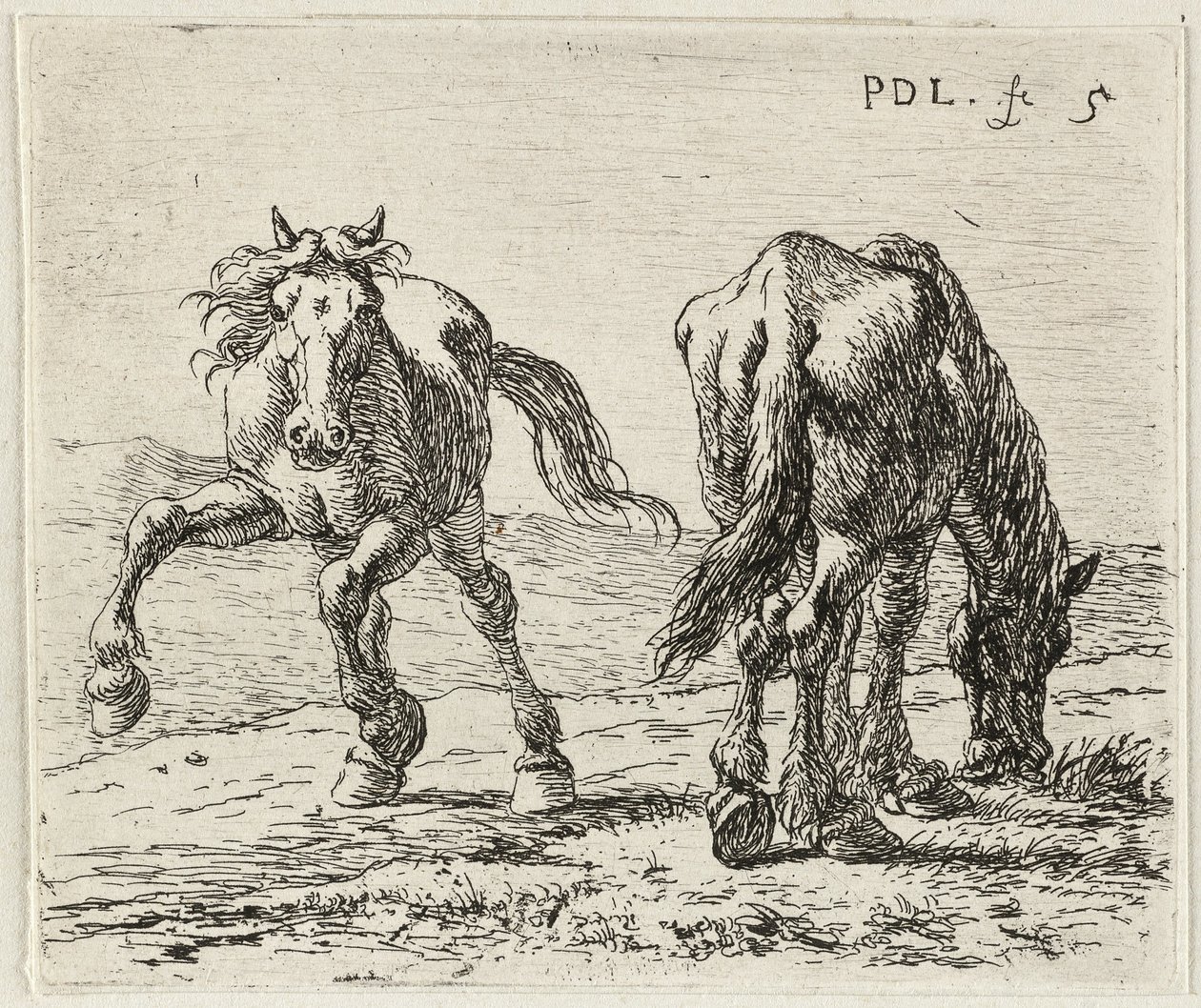  by Pieter van Laer