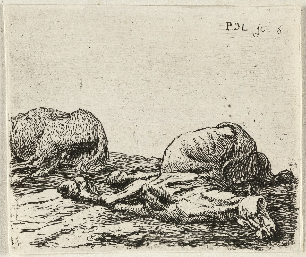  by Pieter van Laer