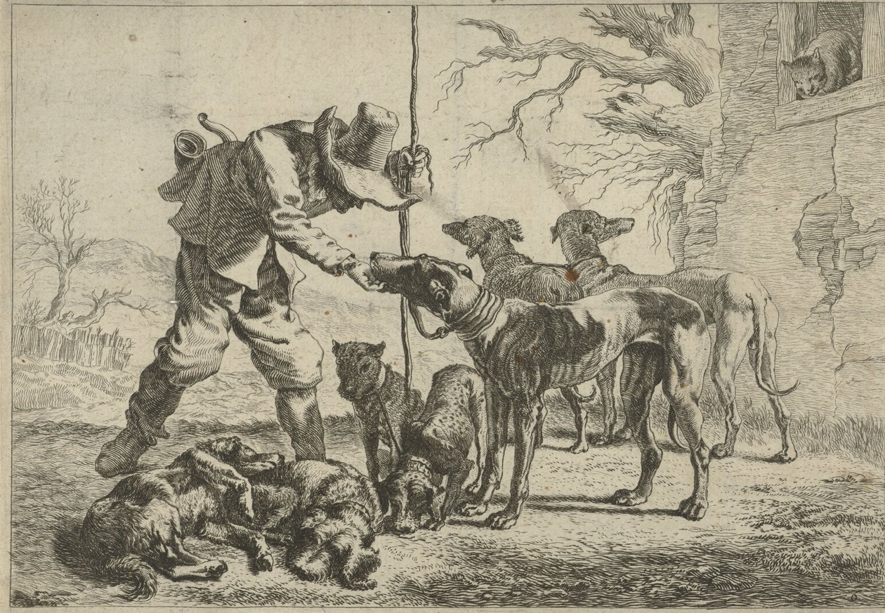  by Pieter van Laer