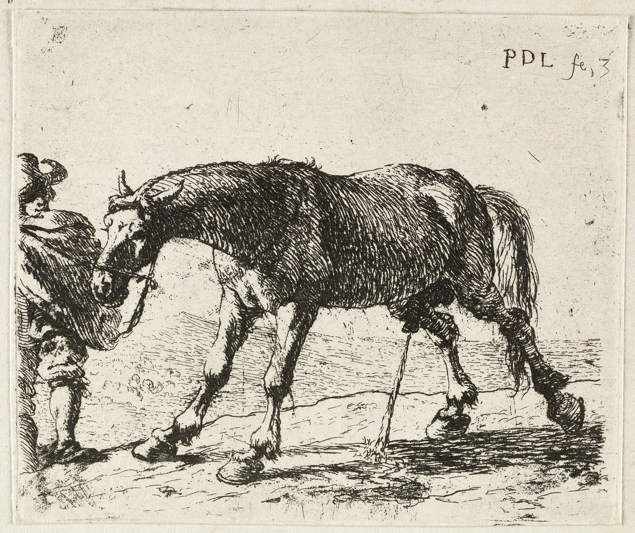  by Pieter van Laer