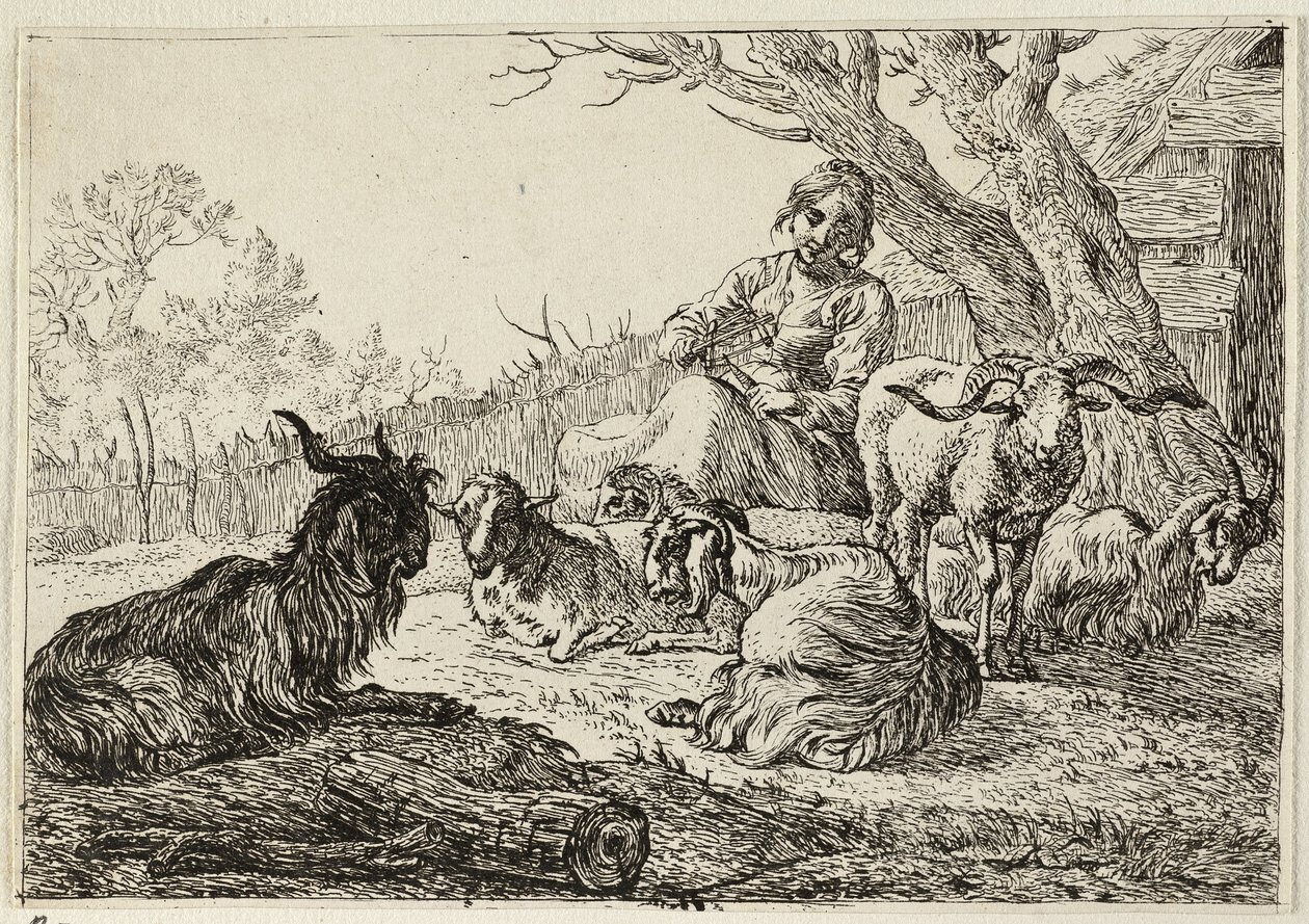 by Pieter van Laer