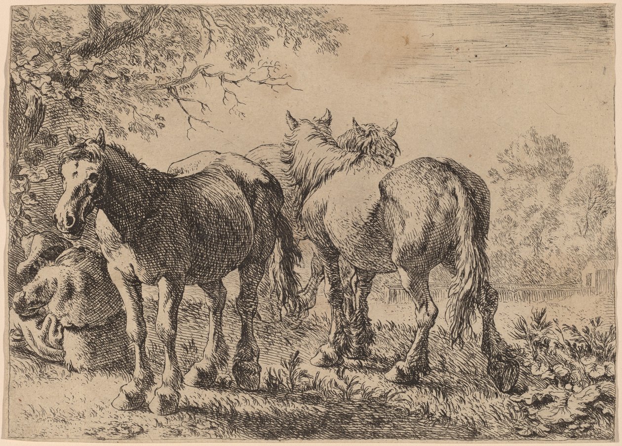 Bir Tarlada Üç At by Pieter van Laer
