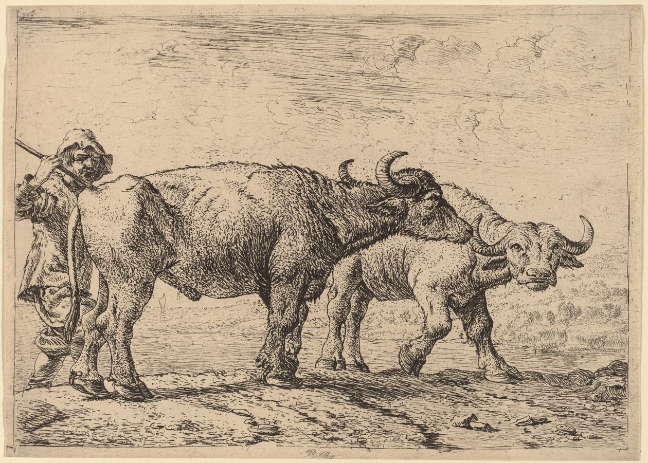 İki Bufalo ve Bir Çoban by Pieter van Laer