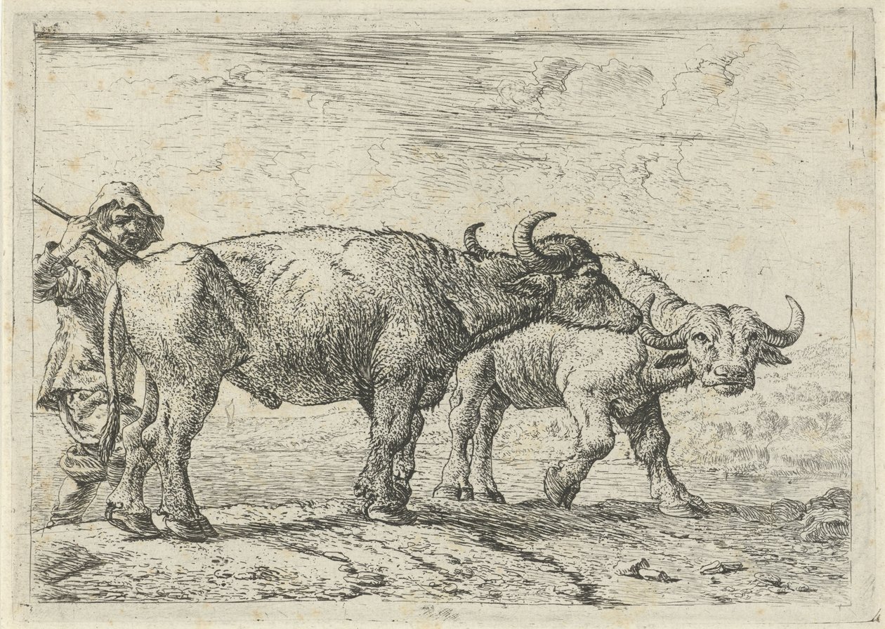  by Pieter van Laer