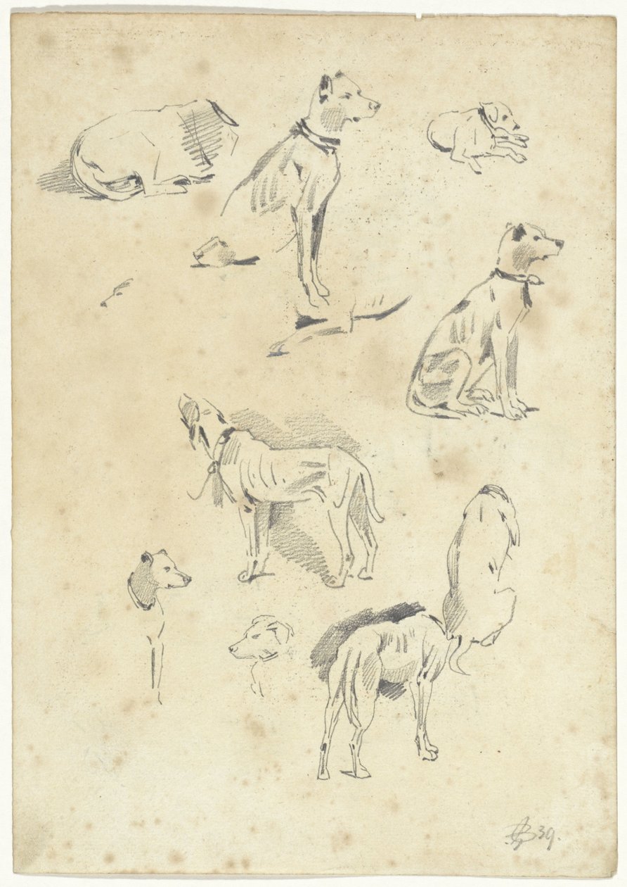 köpek çalışmaları by Pieter van Loon
