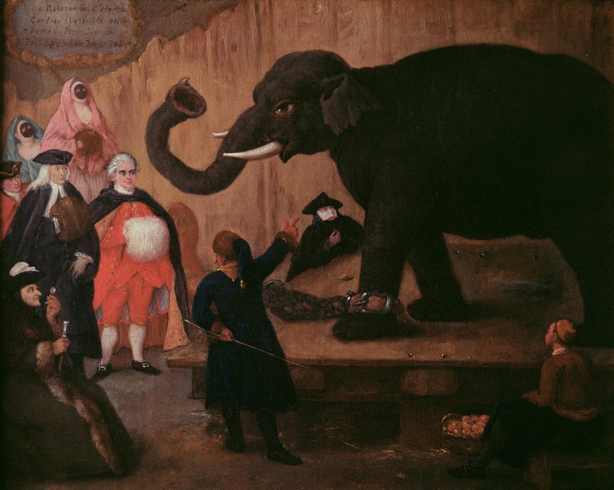 Venedik'te Gösterilen Bir Fil by Pietro Longhi