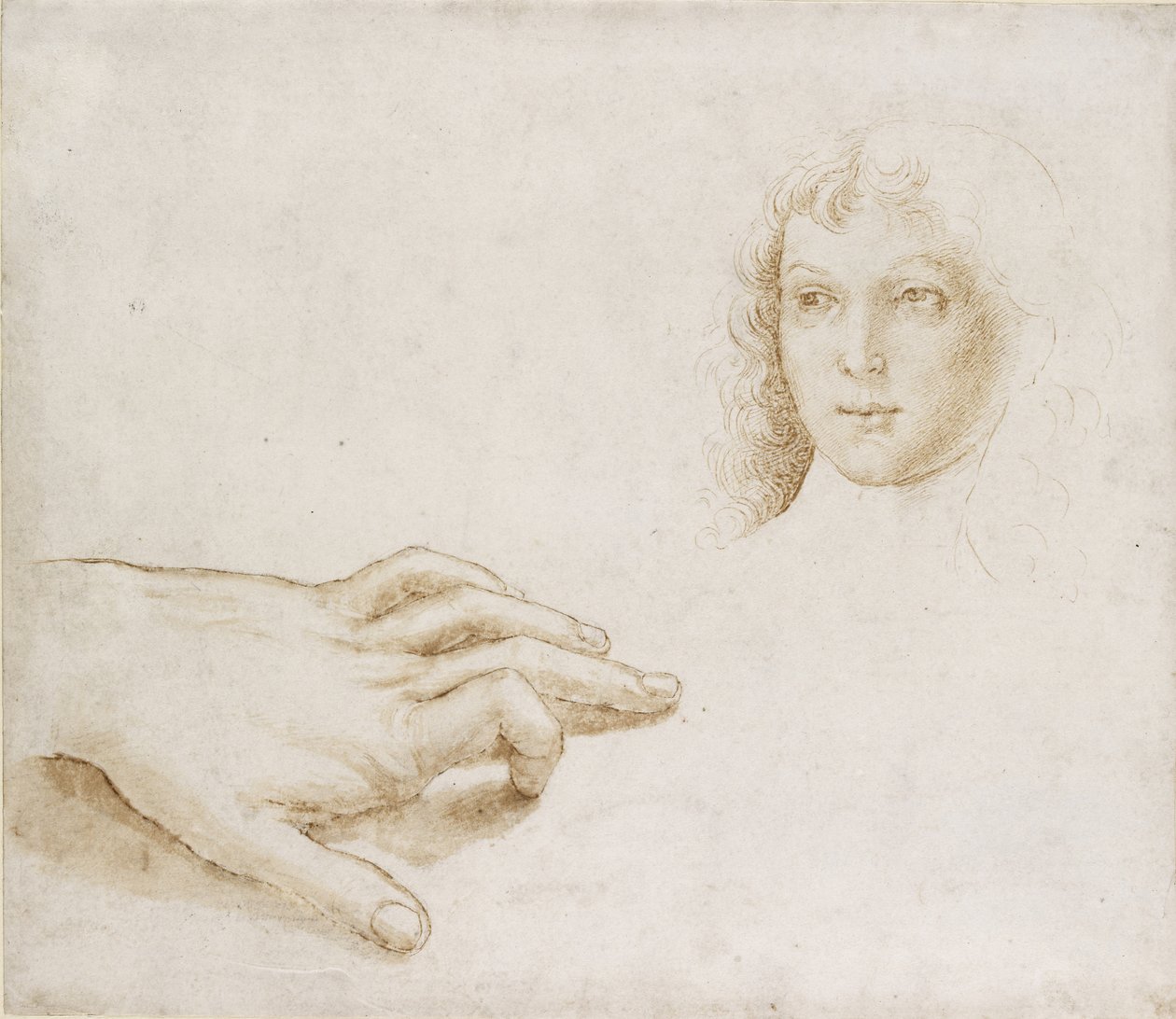 Baş ve El Çalışmaları, WA1846.8 by Pietro Perugino