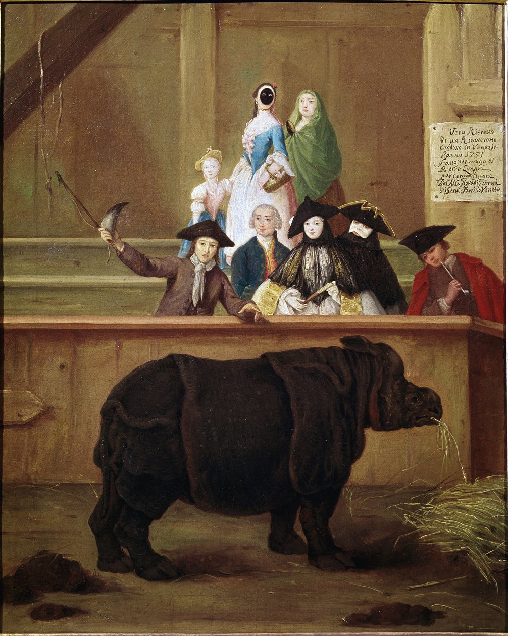 Gergedan: Clara, Hint gergedanının sergisi. Pietro Longhi