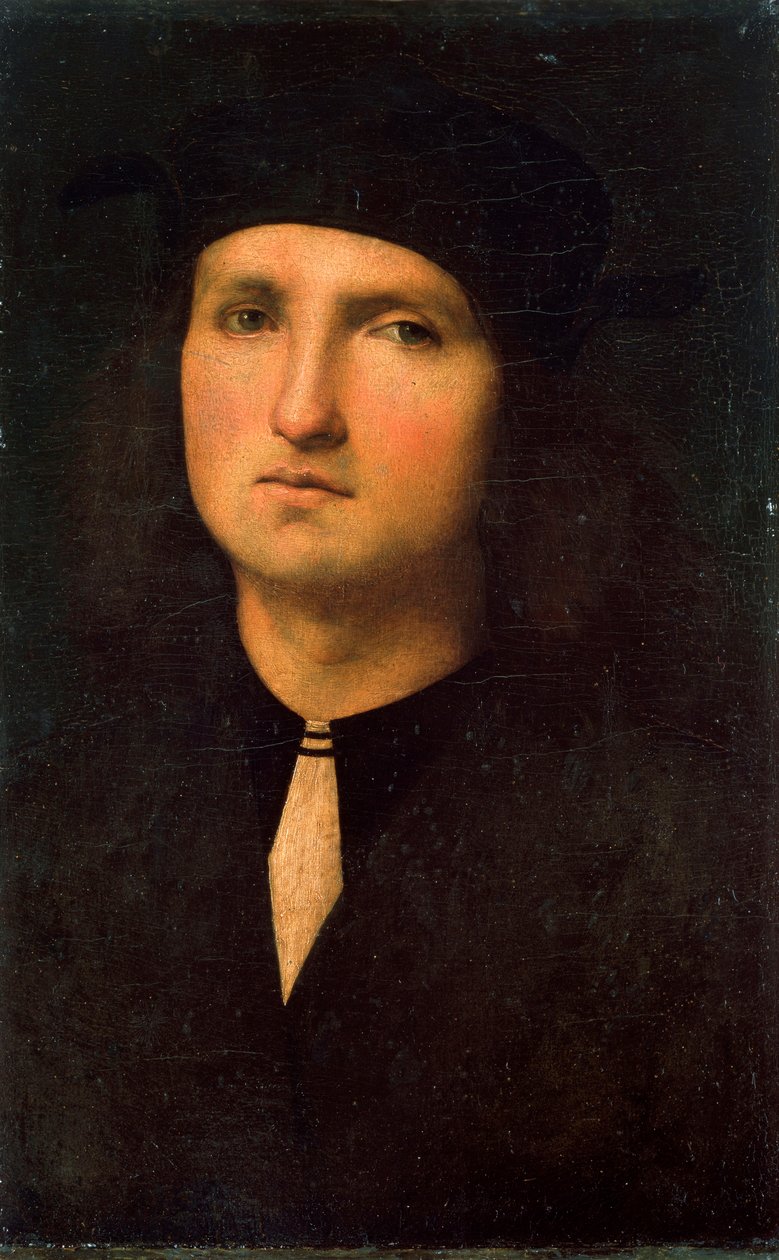 Bir Genç Adamın Portresi, 1495 ile 1500 yılları arasında. by Pietro Perugino