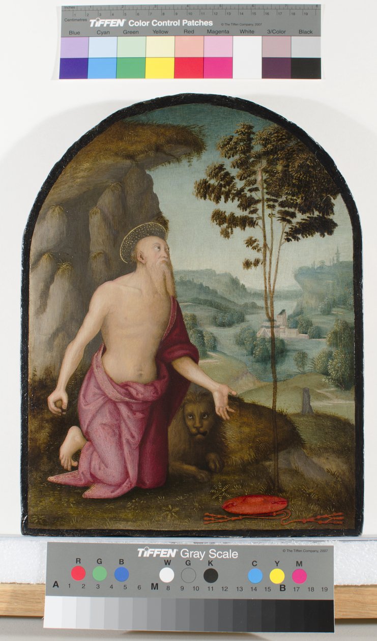 Vahşi Doğada Aziz Jerome, c.1510-15 by Pietro Perugino