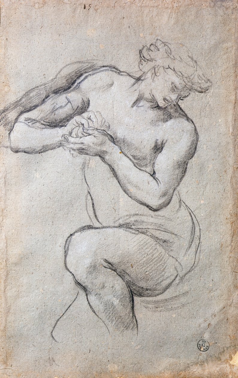 Erkek figürü, Gümüş Çağında Bacchus Çalışması fresk by Pietro da Cortona