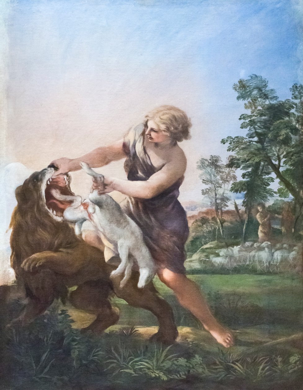 David Aslanı Öldürüyor (tuval üzerine yağlıboya) by Pietro da (1596 1669) Cortona
