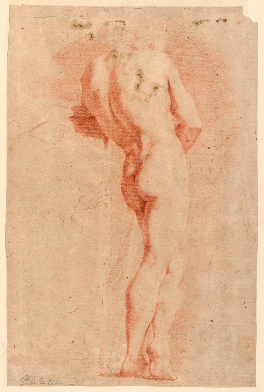 Şekil Çalışması by Pietro da Cortona