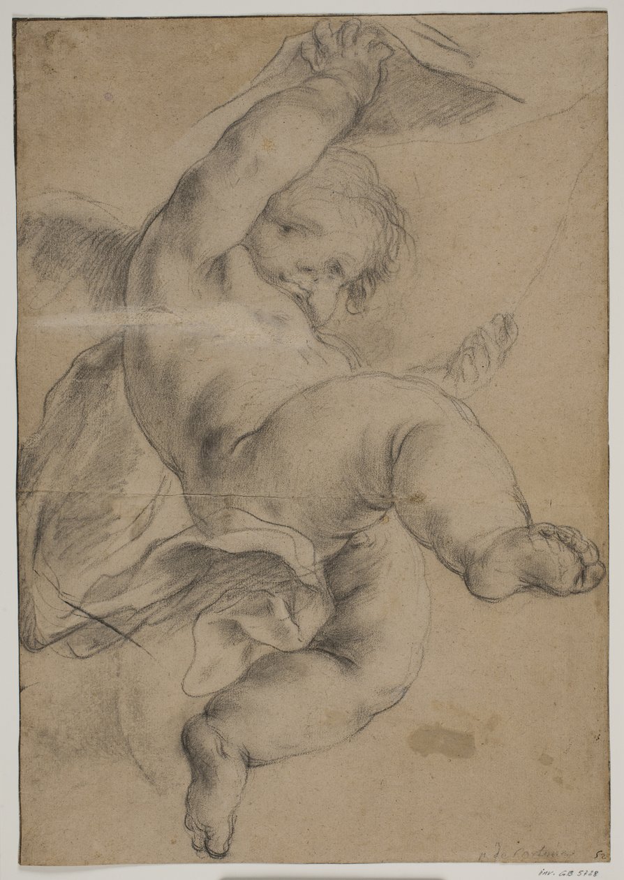 Uçan putto perdeyi kaldırıyor by Pietro da Cortona