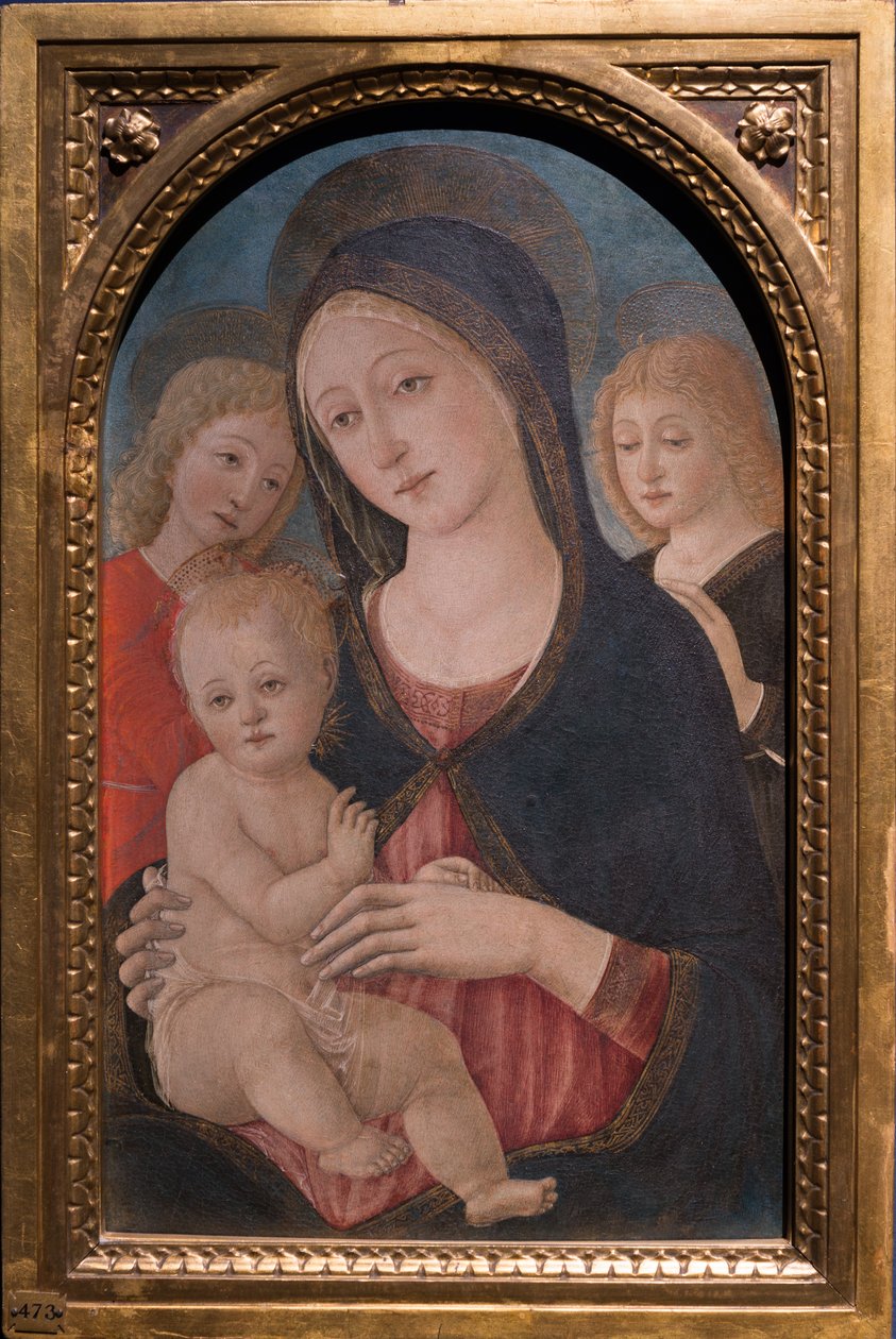 İki melekli Madonna ve Çocuk, c.1480 (panelde yağlı boya) by Pietro di Francesco degli Orioli