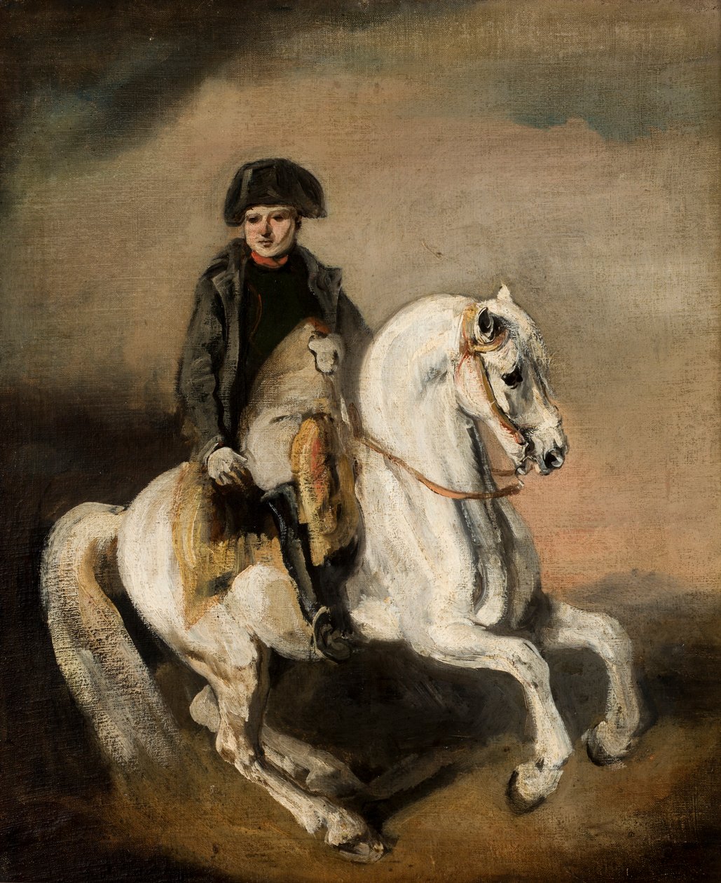 At Sırtında Napolyon (tuval üzerine yağlı boya) by Piotr Michalowski