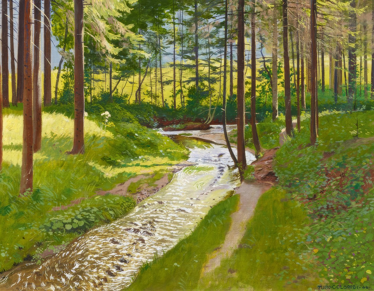 Bir dere ile yaz ormanı by Plinio Colombi