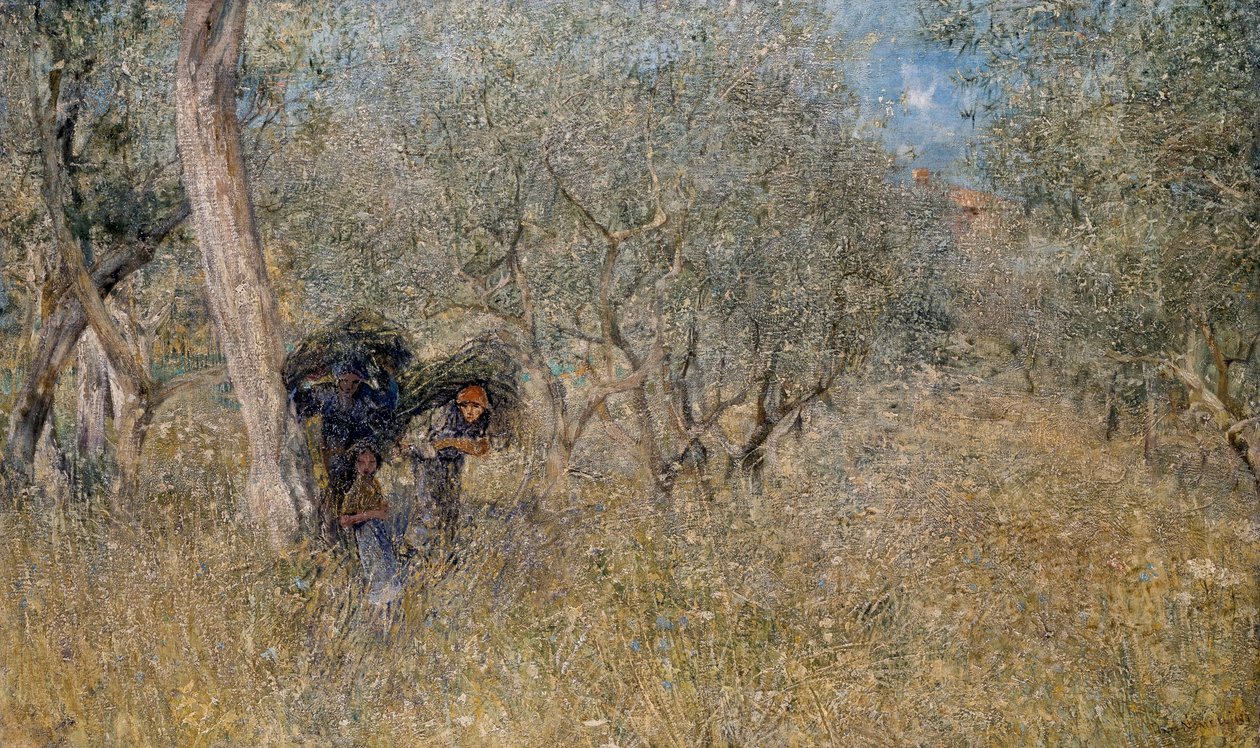 Zeytin ağaçları arasında, fascinler, Plinio Nomellini (1866-1943), tuval üzerine yağlı boya, 60x100 cm by Plinio Nomellini