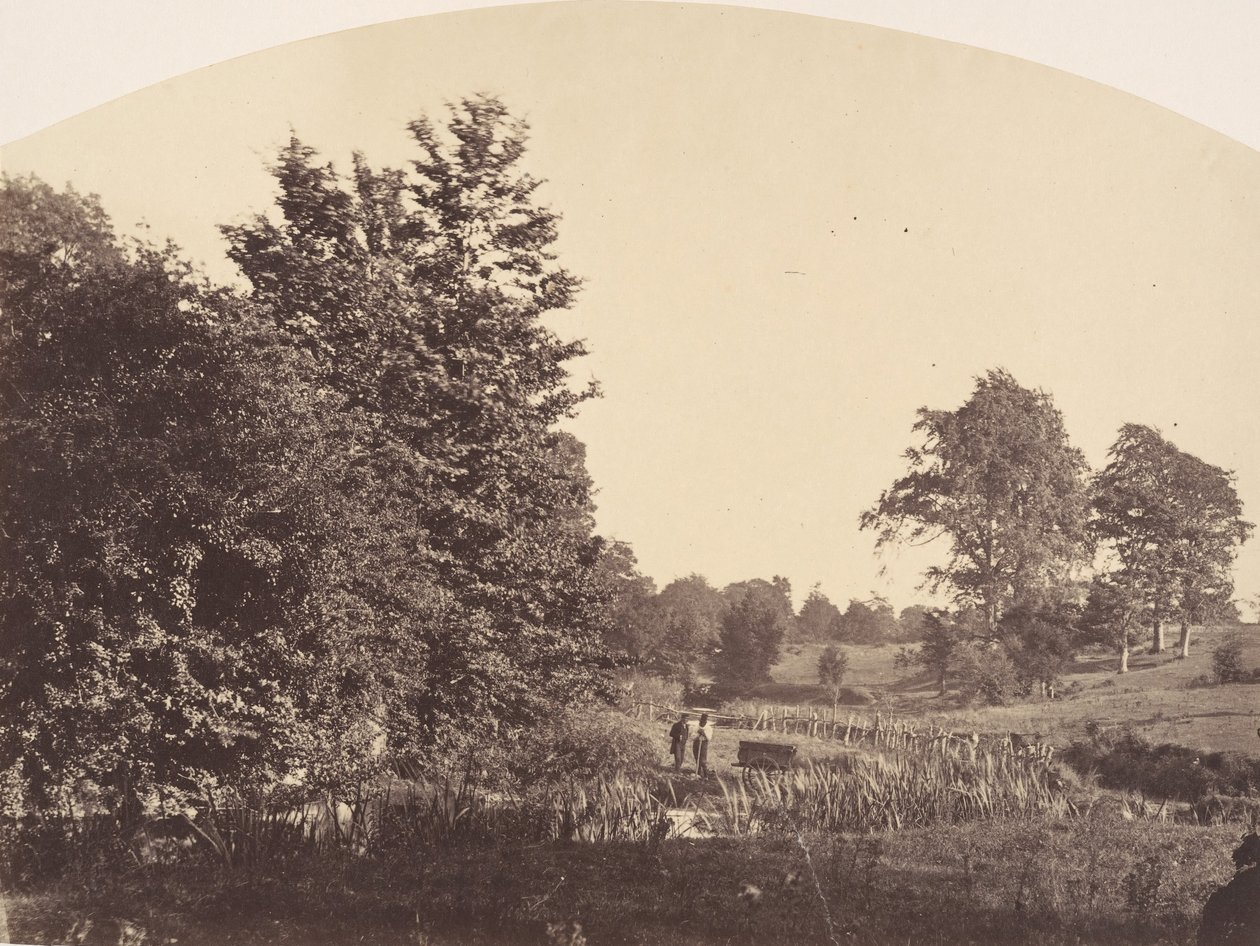 Woodland Çayı, 1856. by Plunket