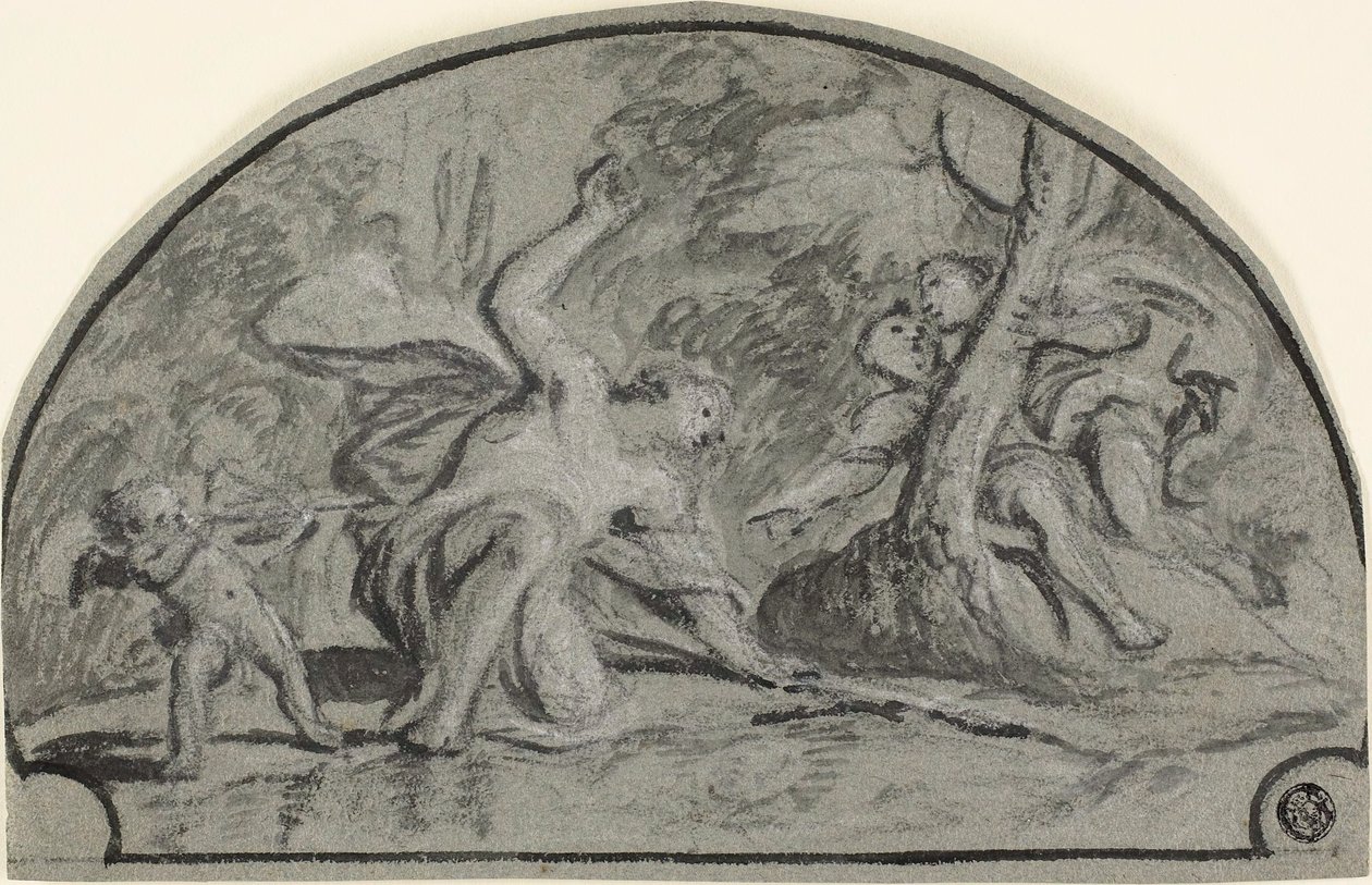 Nergis by Polidoro da Caravaggio