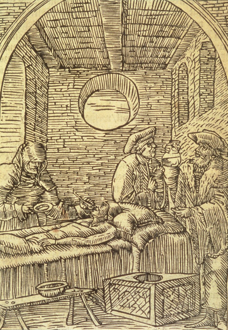 Şifalı Bitkilerin Uygulanması, 1534 by Polish School