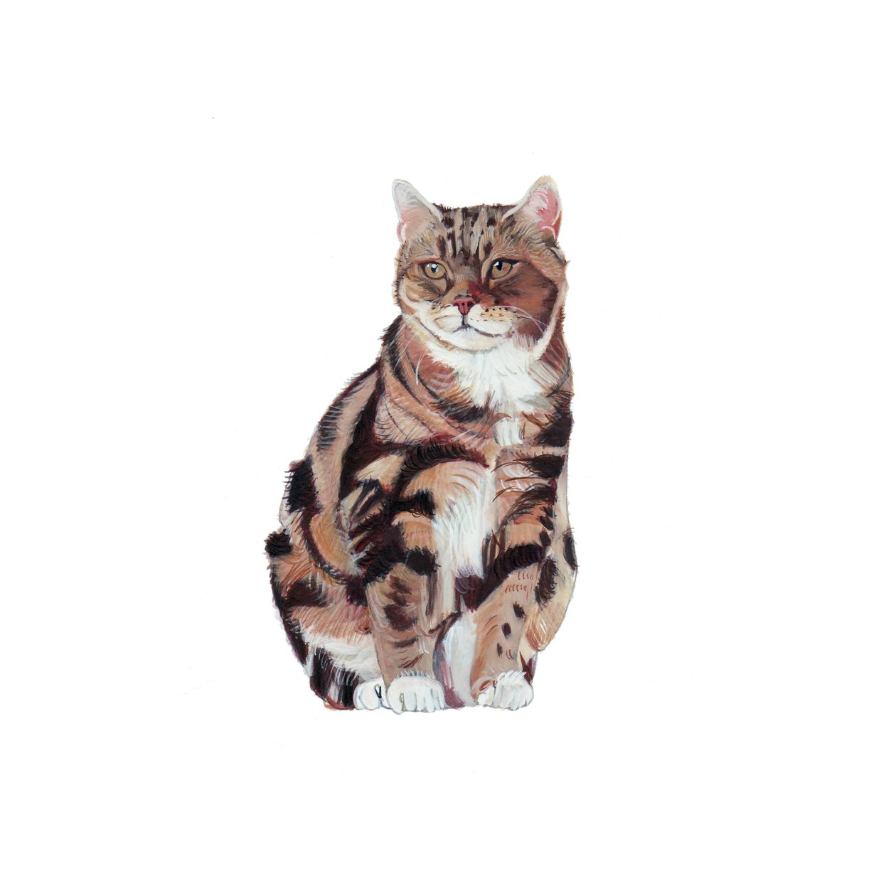 Manx, 2014 (kağıt üzerine suluboya ve guaj) by Polly Horner