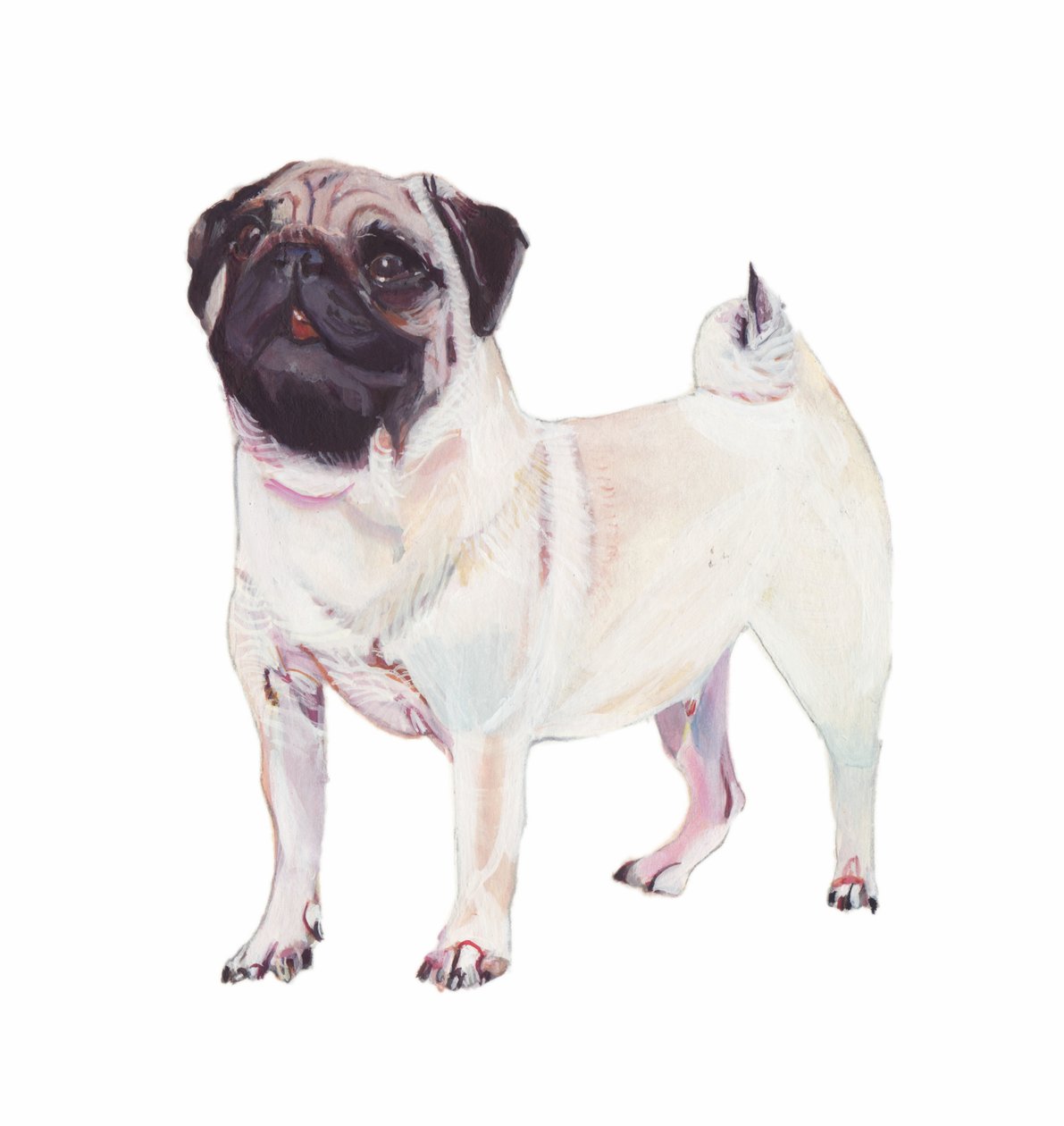 Pug, 2011 (kağıt üzerine suluboya ve guaj) by Polly Horner