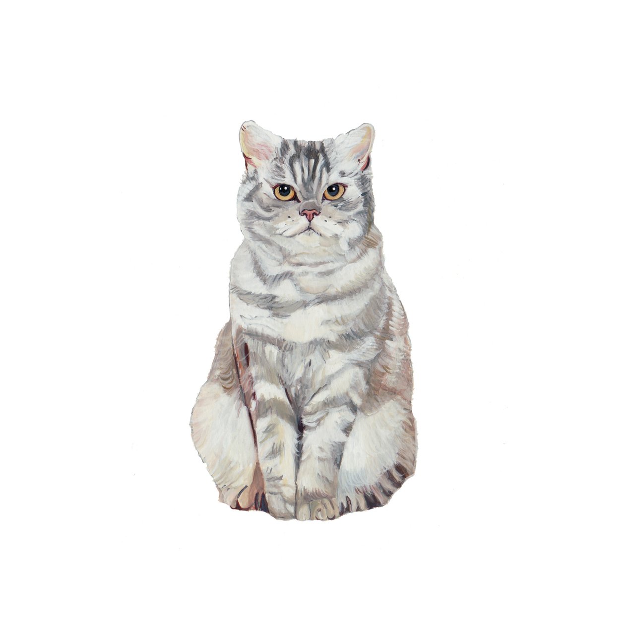 Selkirk Rex, 2014 (kağıt üzerine suluboya ve guaj) by Polly Horner
