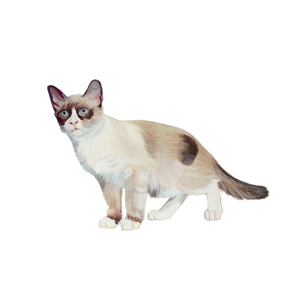 Snowshoe, 2014 (kağıt üzerine suluboya ve guaj) by Polly Horner
