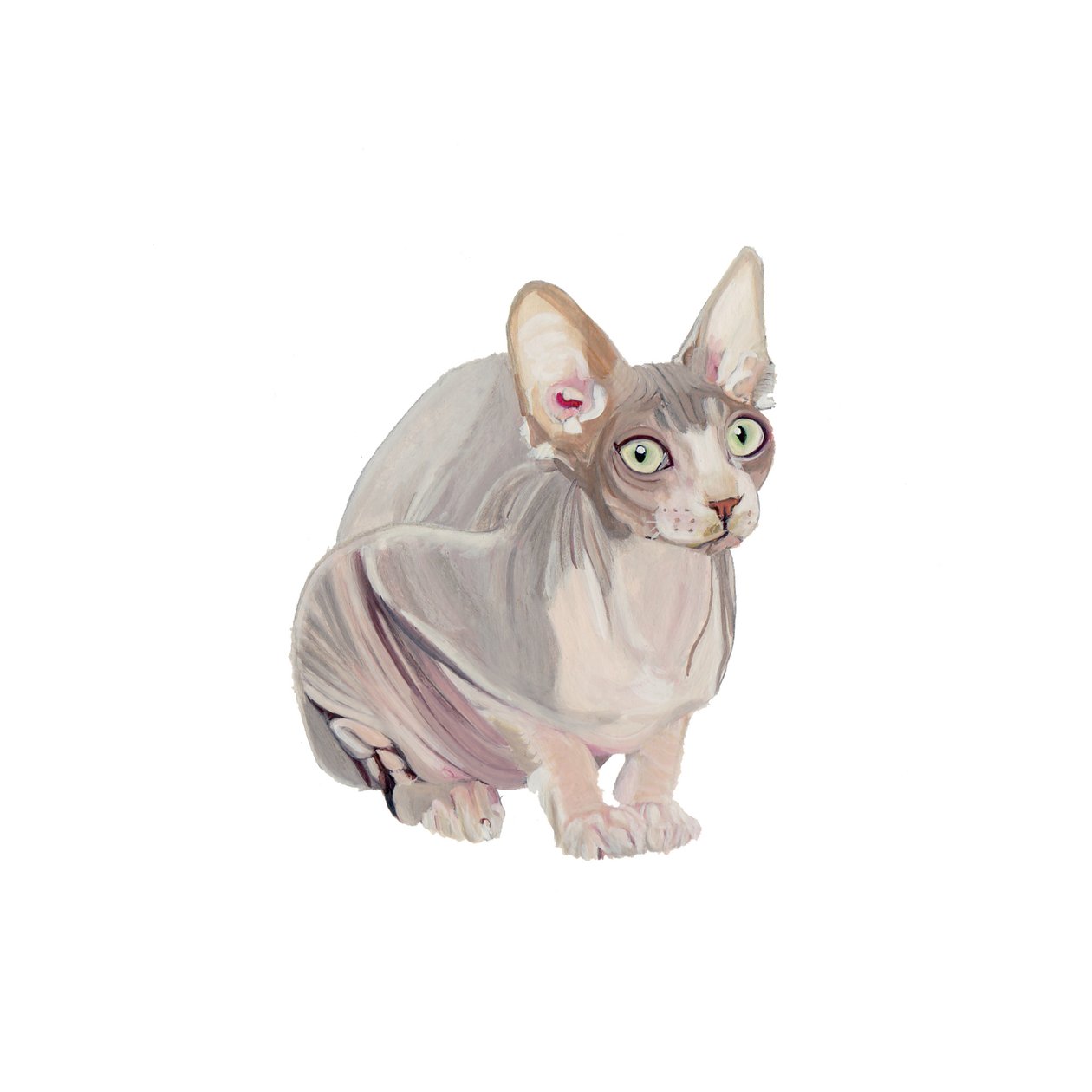 Sphynx, 2014 (kağıt üzerine suluboya ve guaj) by Polly Horner
