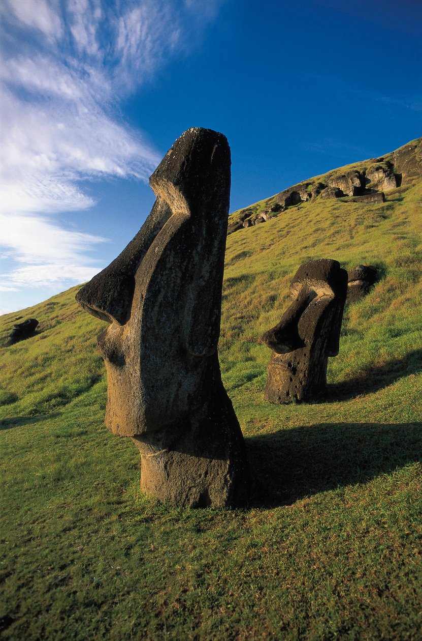 Güzel heykeller, Rapa Nui Ulusal Parkı, Paskalya Adası, Şili by Polynesian Polynesian