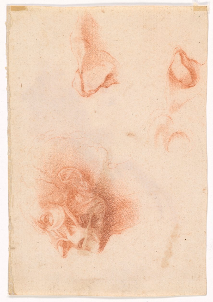 Bir Adamın Başı, Profilde Yüz (rekto); Anatomik Çalışma, Profilde Yüz (verso) by Pompeo Girolamo Batoni