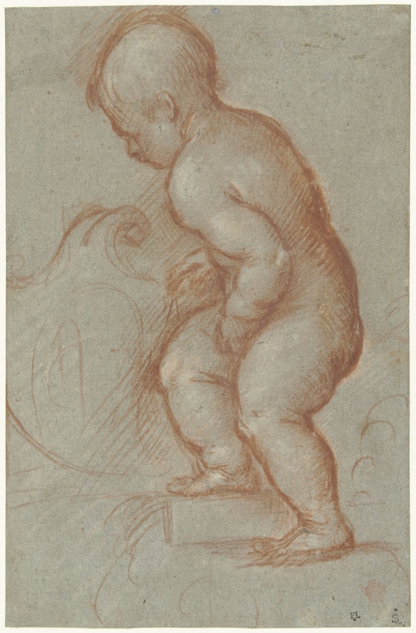 Bir arması ile putto by Pordenone (attributed to)