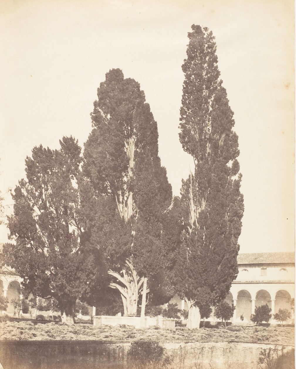 Carthusian Manastırı