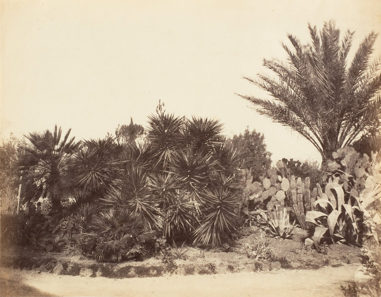 Pincian Bahçesi, Roma, 1853-56. by Possibly by Jane Martha St. John.