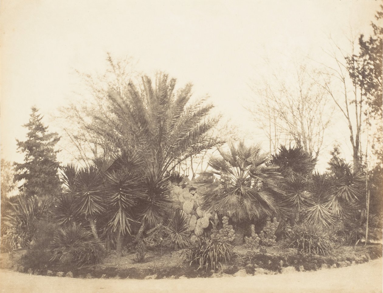 Pincian Bahçesi, Roma, 1853-56. by Possibly by Jane Martha St. John.