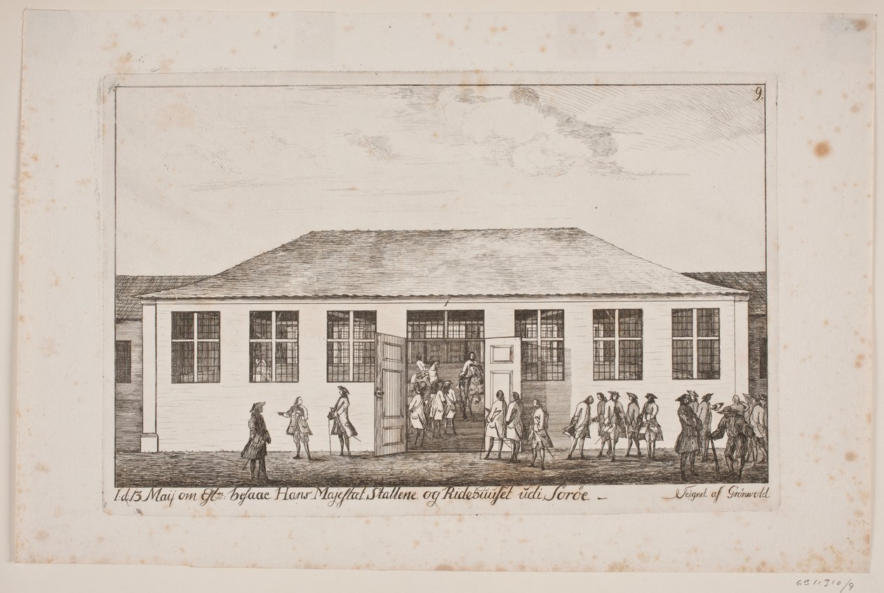 Frederik V, Sorø Akademisi